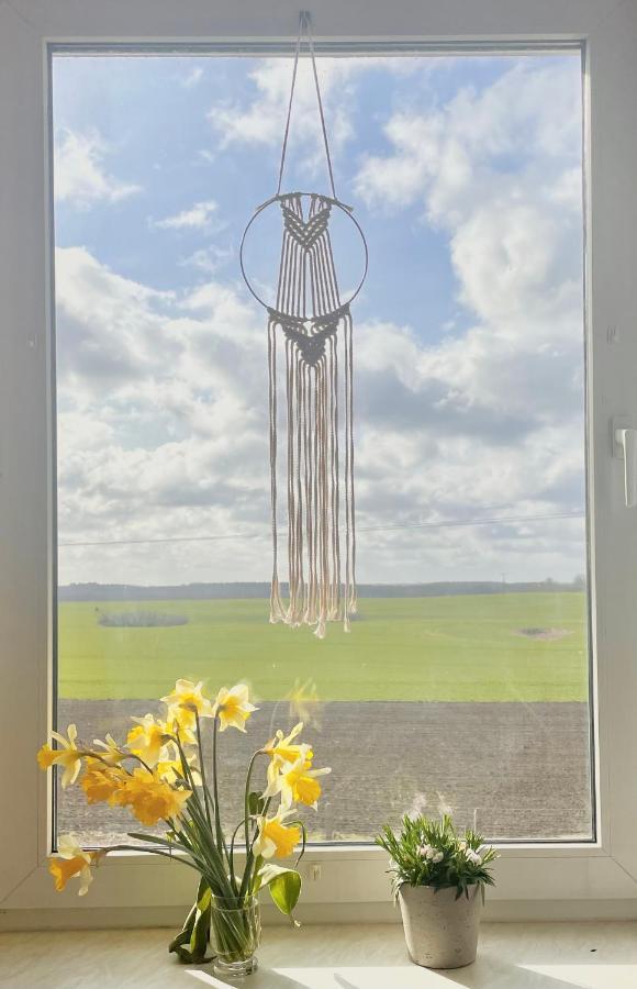 "Mts-Haus Zettemin" - 2 Familienfreundliche Ferienwohnungen In Mecklenburg Esterno foto