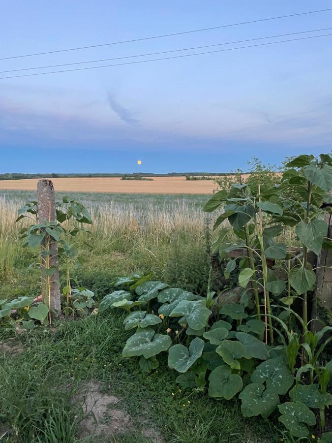 "Mts-Haus Zettemin" - 2 Familienfreundliche Ferienwohnungen In Mecklenburg Esterno foto